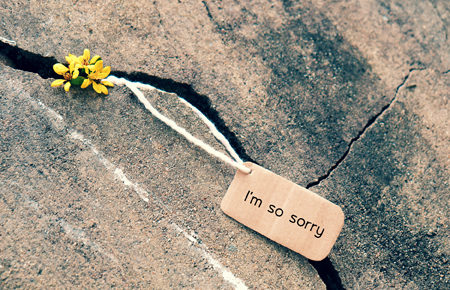 A card shows an apology